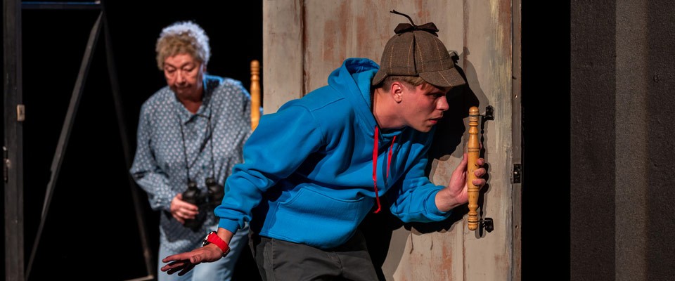 Спектакль Загадочное ночное убийство собаки в театре Современник